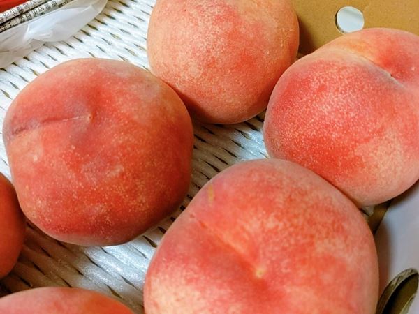 桃 【箭内厳雄果樹園】 もも  5kg　10～22玉 品種おまかせ 福島県 贈答用 《7月下旬～8月上旬から出荷》
