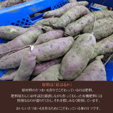 焼いも 【GOVタカノ】 農家さんが作る 焼き芋 ミニ 800g(200g×4) 茨城県鉾田市 《12/上旬～中旬より出荷》