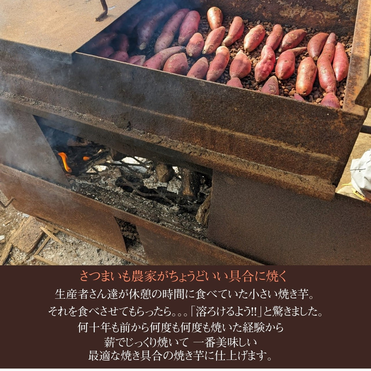 焼いも 【GOVタカノ】 農家さんが作る 焼き芋 ミニ焼芋 800g 茨城県