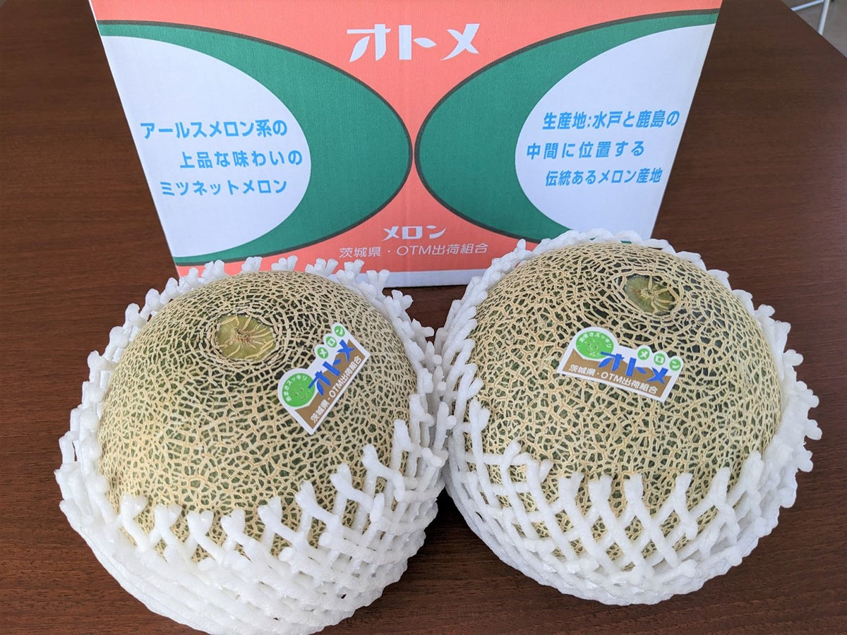 メロン 【OTM出荷組合】 メロン オトメメロン 2玉 2L 糖度15度
