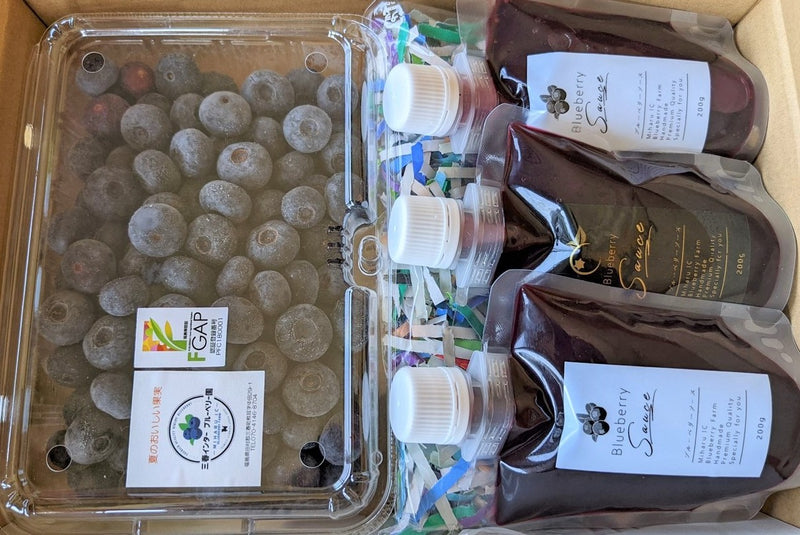 ブルーベリー 【三春インターブルーベリー園】 生ブルーベリー 400g 大粒 ソース 200g×3 朝採 国産 福島県三春町 お中元 御中元 贈答用 《6/下旬より出荷》