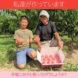 桃 【松浦農園】 もも 5kg 16～22個 福島県 国見町 福島の桃 《7/下旬～8/上旬から出荷》