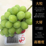 ぶどう 【ﾌﾙｰﾂﾌｧｰﾑいしくら】 葡萄 シャインマスカット 2房 クイーンニーナ 1房 合計3房 1.8kg 高糖度 山梨県 《8月17日頃～8月下旬より出荷》