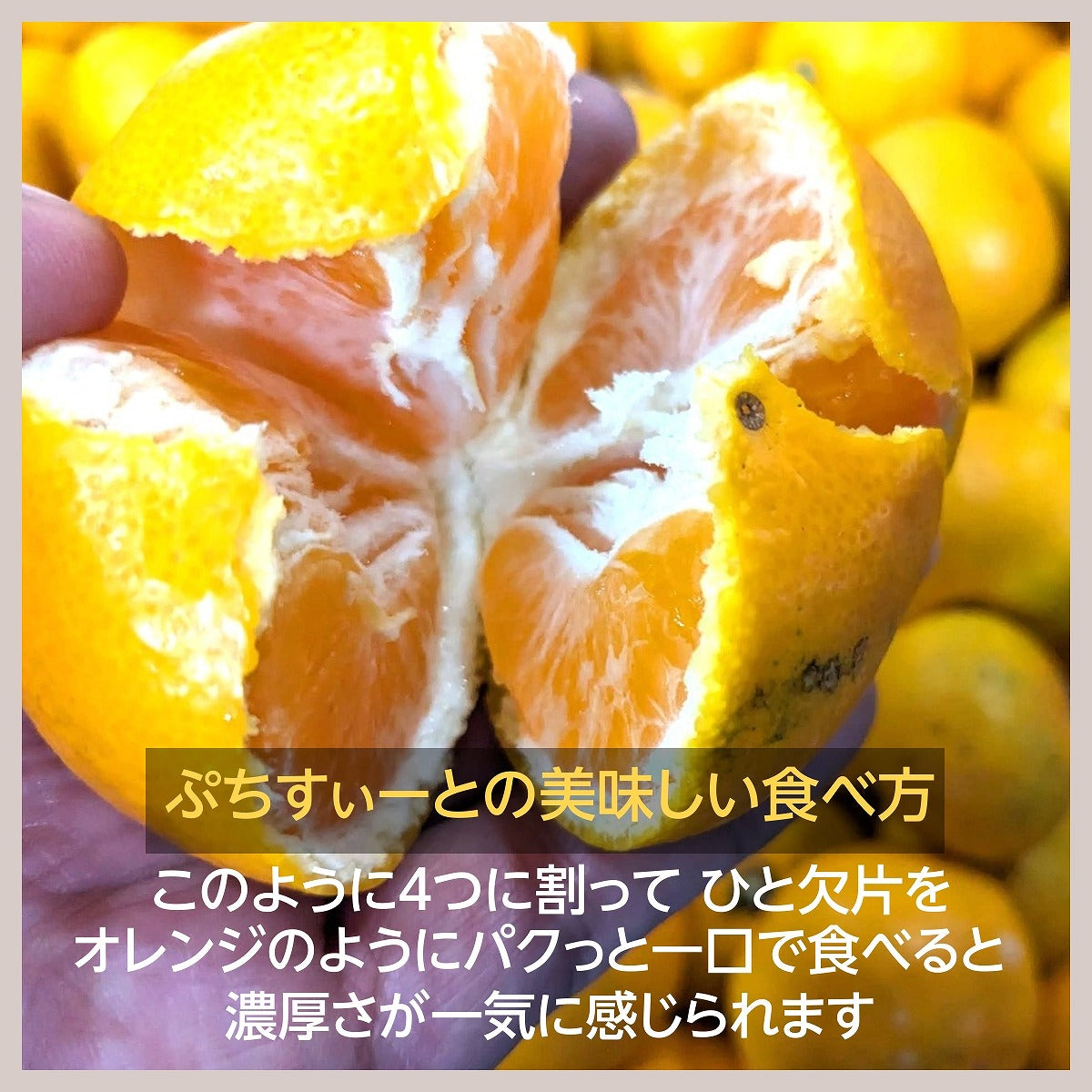 専用。ラスト♥みかんパンダ祭♥１２重ガーゼ☆ちびブランケット♥ 専用。ラスト♥みかんパンダ祭♥12重ガーゼ☆ちびブランケット