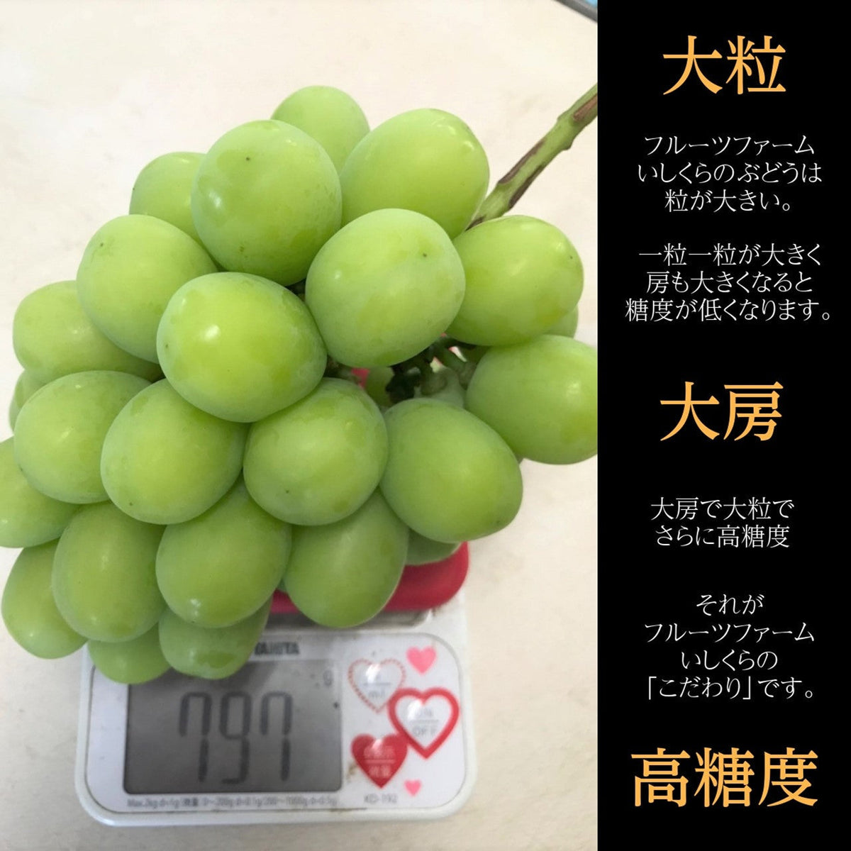 ぶどう 【ﾌﾙｰﾂﾌｧｰﾑいしくら】 葡萄 クイーンニーナ 4～5房 3kg 高糖度