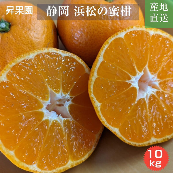 蜜柑ページ みかん 【昇果園】 S~M 10kg 約100～130個 家庭用 静岡県 浜松市 蜜柑