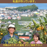 みかん 【みかんの館】 有田みかん 田村地区産 訳あり ご家庭用 ど根性くん 5kg サイズ不揃い 和歌山県 蜜柑 ミカン 柑橘 《11/上旬～11/中旬より出荷》