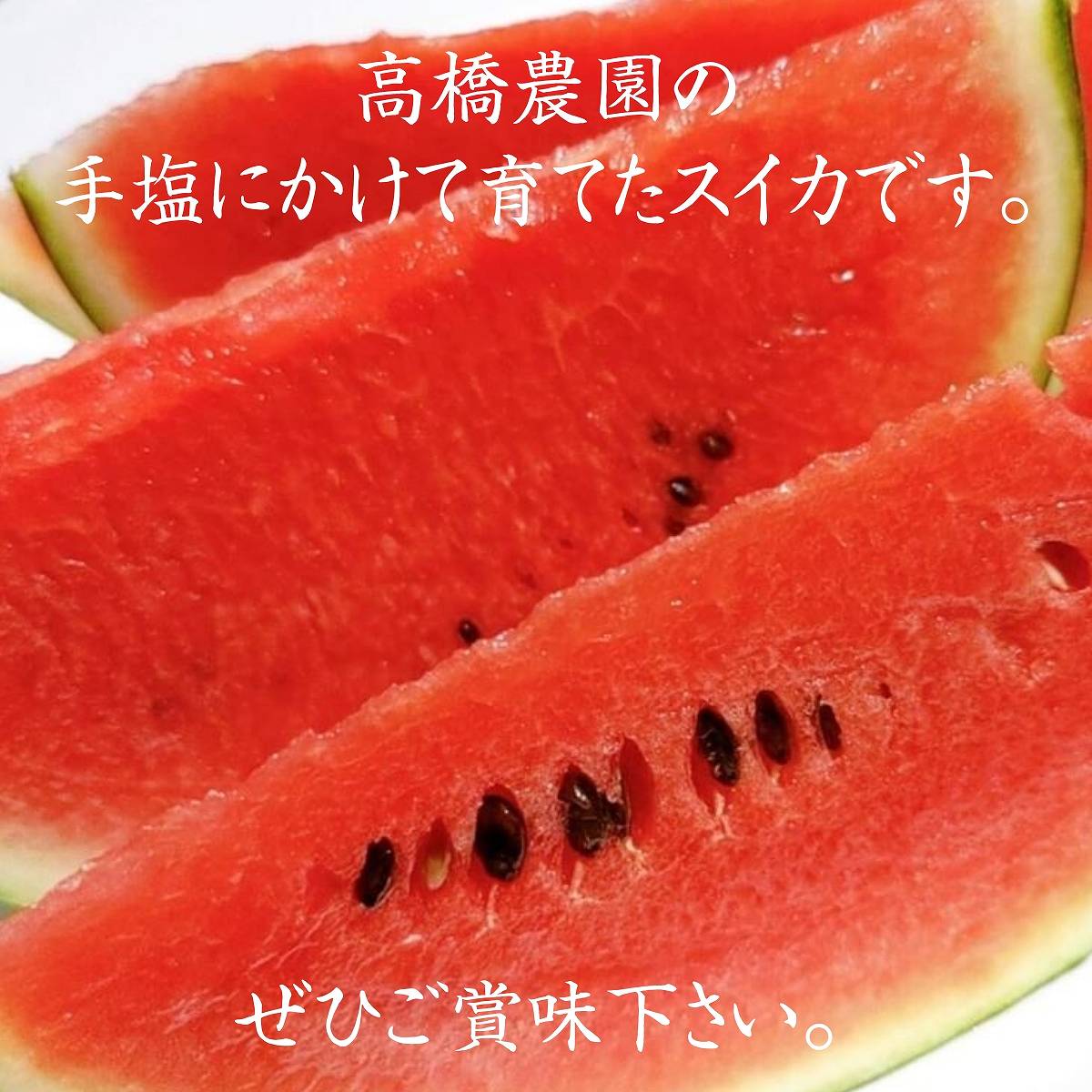 スイカ 小玉スイカ 【高橋農園】ひとりじめBONBON 2玉 4〜5kg