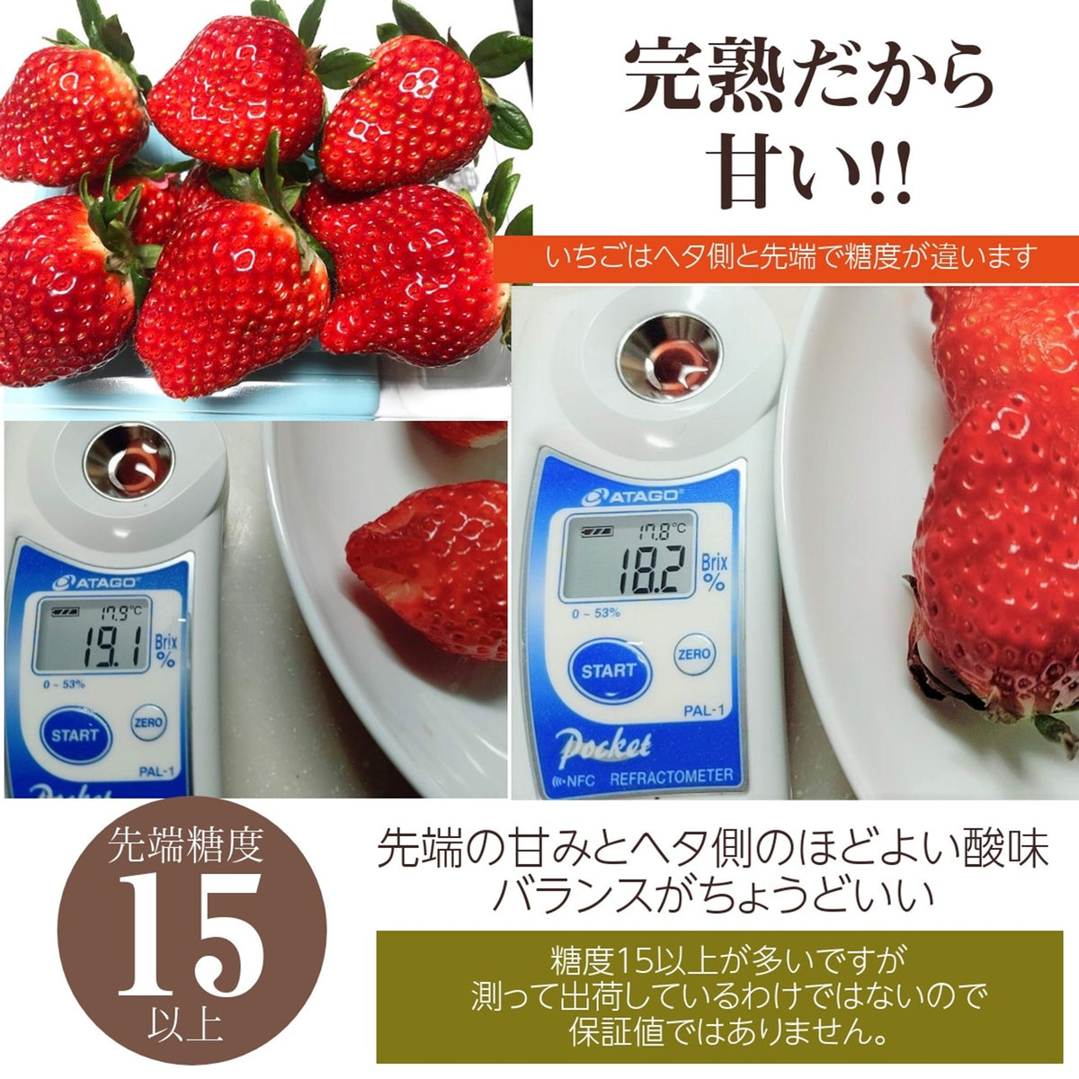 いちご 【有慶農園】 とちおとめ デラックス 3L～4L 大玉24～30粒（12～15個×2パック） 福島県須賀川 苺 イチゴ 《1/中旬～ –  にこやか産直アーケード