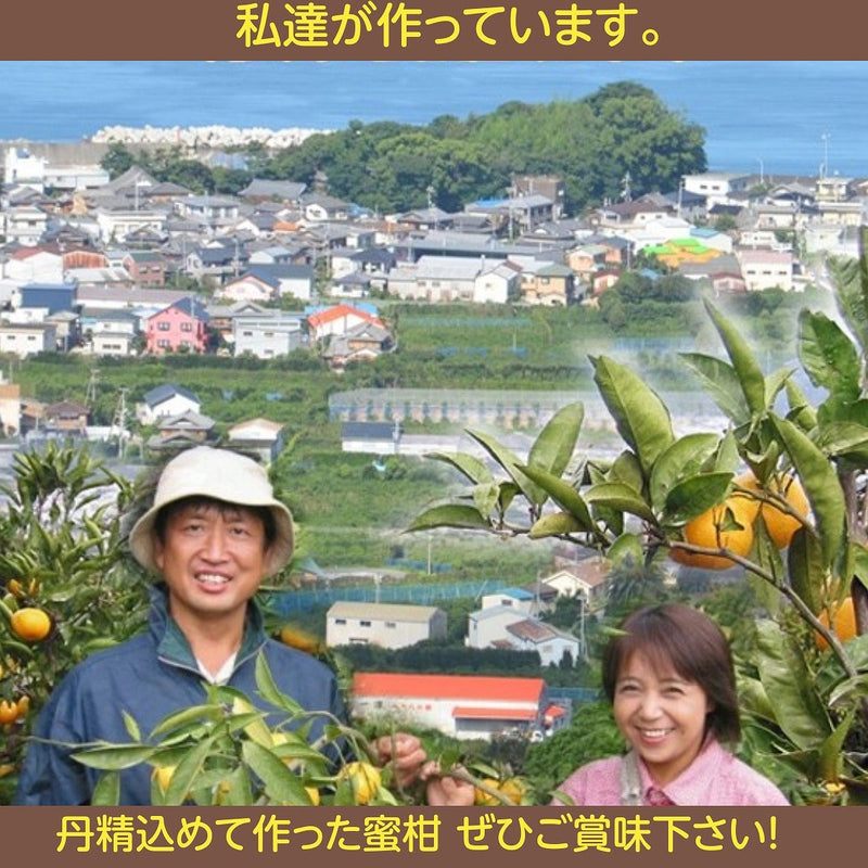 みかん 【みかんの館】 有田みかん ブランド産地 田村地区産 贈答用 秀 S 5kg 約60個 和歌山県 蜜柑 ミカン 柑橘 《11/上旬～11/中旬より出荷》