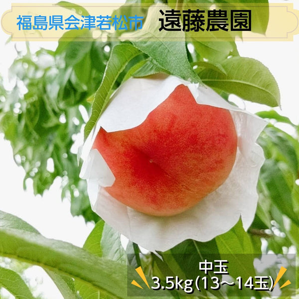 桃 【遠藤農園】 もも 3.5kg 中玉13～14個 7月の桃 福島県 会津 《7月中旬～7月下旬出荷》