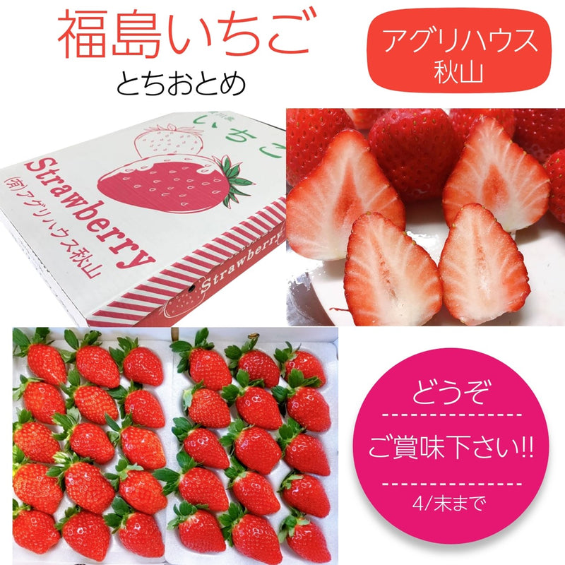 いちご 【アグリハウス秋山】 とちおとめ デラックス3L~4L 大玉 24～30粒（12～15個×2パック）750g 翌日配達の地域(東北～近畿）限定 贈答用 福島県 須賀川 苺 《12/上旬～12/中旬より出荷》