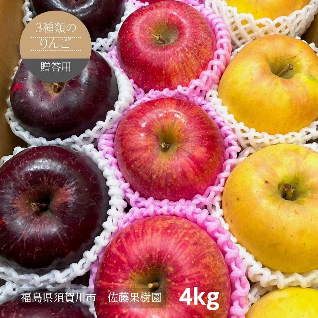 りんご りんご 【佐藤果樹園】 御歳暮 3種の林檎セット ふじ ぐんま名月 こう