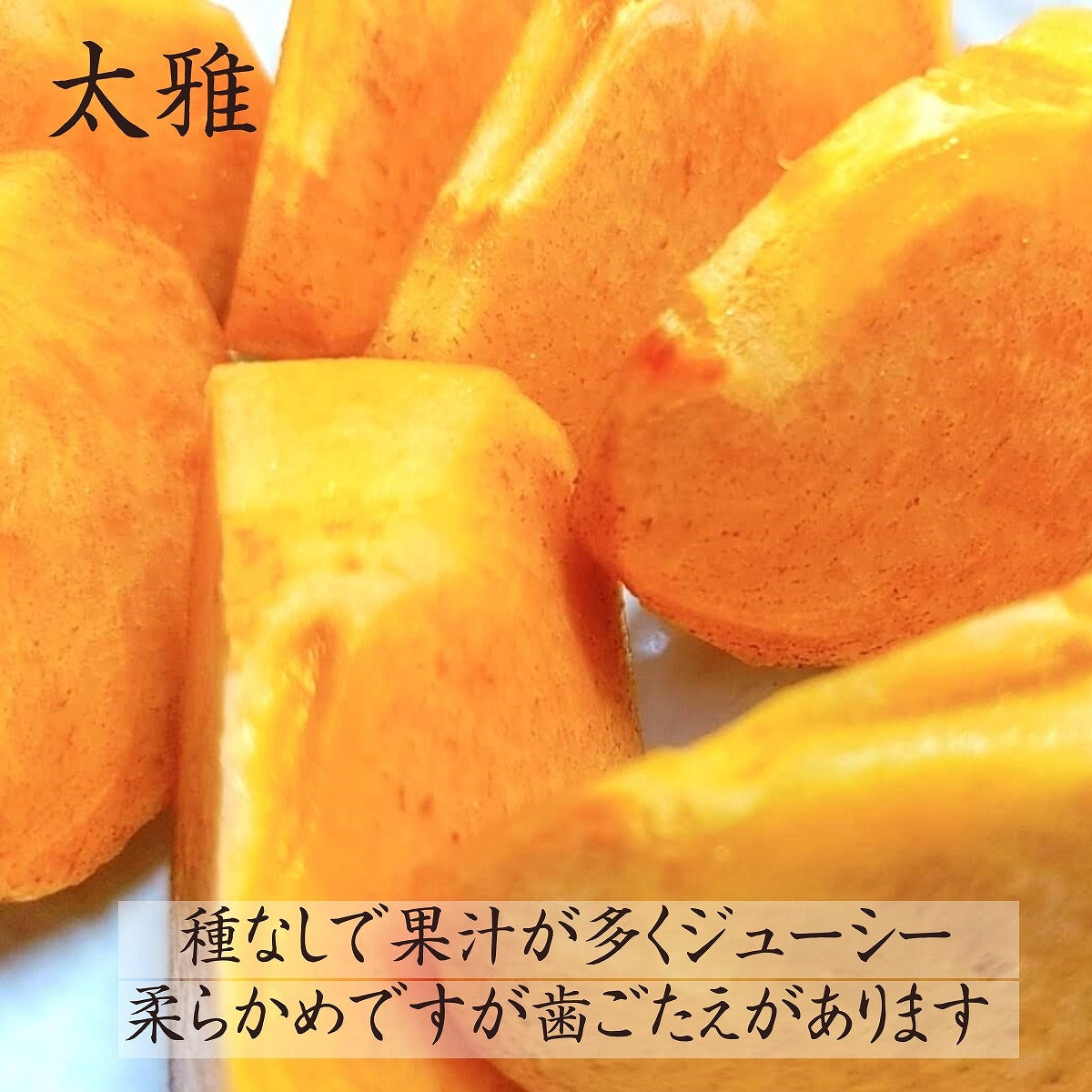 限定販売品！超希少品種高級甘柿品種「太豊2年生」 柿 甘柿