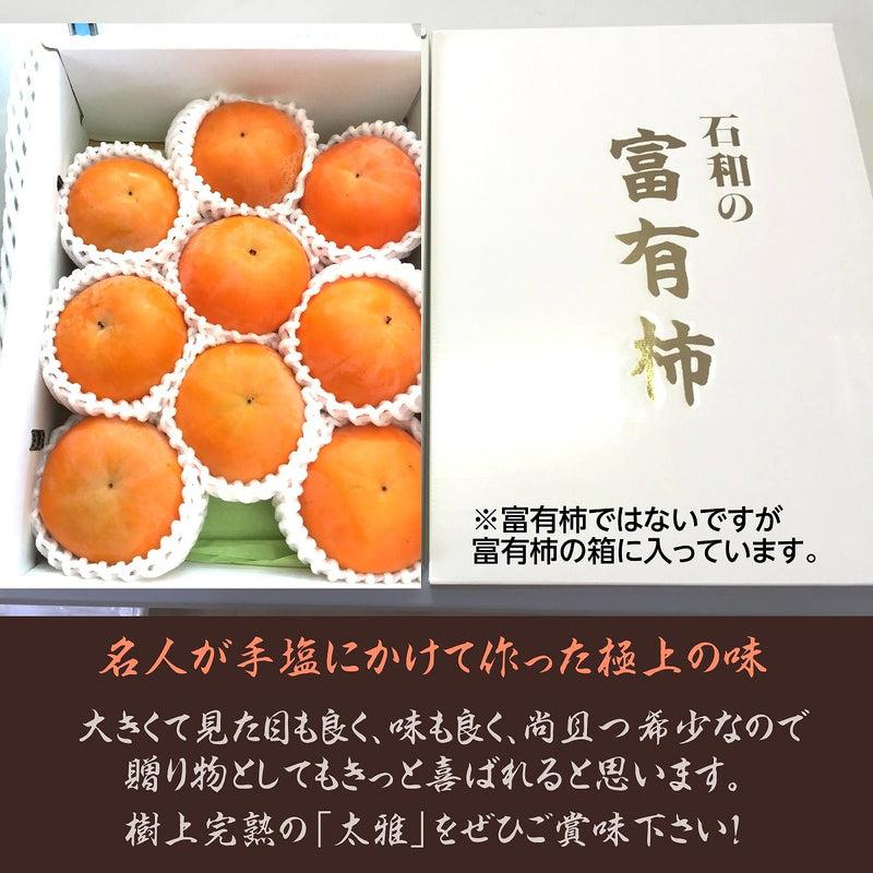 柿 甘柿 【フルーツファームいしくら】 高級 希少 太雅 たいが  広瀬の柿 化粧箱3kg ３L 8～10個 贈答用 プレゼント 山梨県笛吹市 種なし かき《11/中旬の出荷》