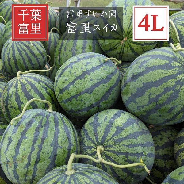 スイカ 【富里すいか園】 特大 富里スイカ 4L 1個 9kg以上 千葉県富里市 すいか 父の日 《5/中旬～5/下旬より出荷》 –  にこやか産直アーケード