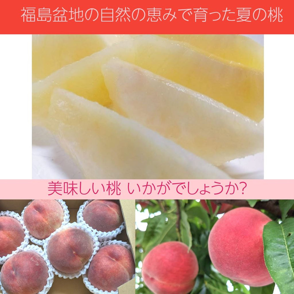 モンチッチ 福島限定 桃 （モンチッチ福島限定桃）