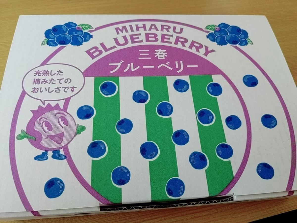 ブルーベリー 【三春インターブルーベリー園】 冷凍ブルーベリー 中粒