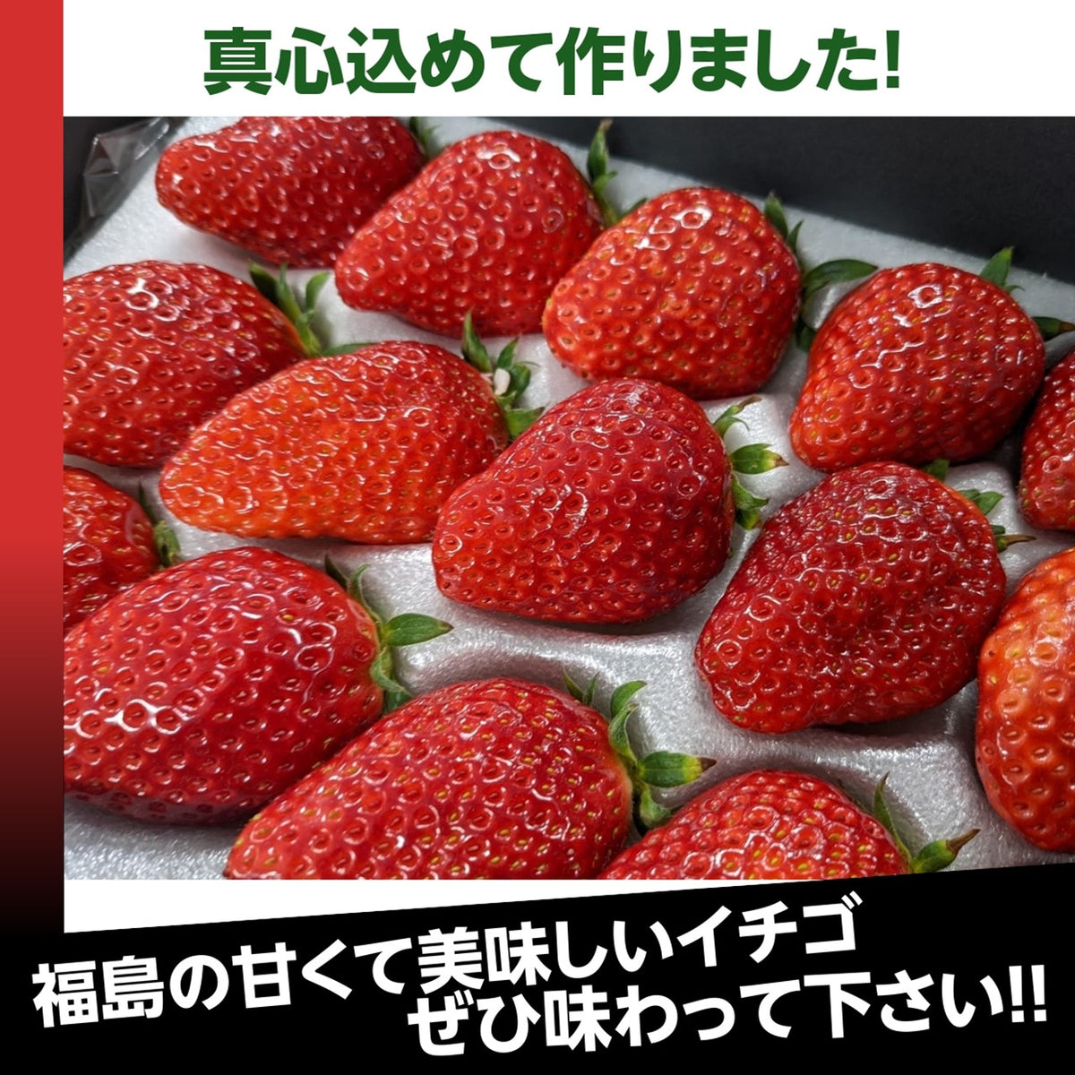 いちご 【有慶農園】 とちおとめ デラックス 3L～4L 大玉24～30粒（12～15個×2パック） 福島県須賀川 苺 イチゴ 《1/中旬～ –  にこやか産直アーケード