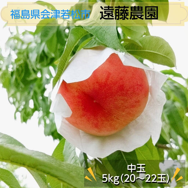 桃 【遠藤農園】 もも  5kg 中玉 20～22個 品種色々 贈答 福島県 会津 《7月下旬～8月上旬から出荷》