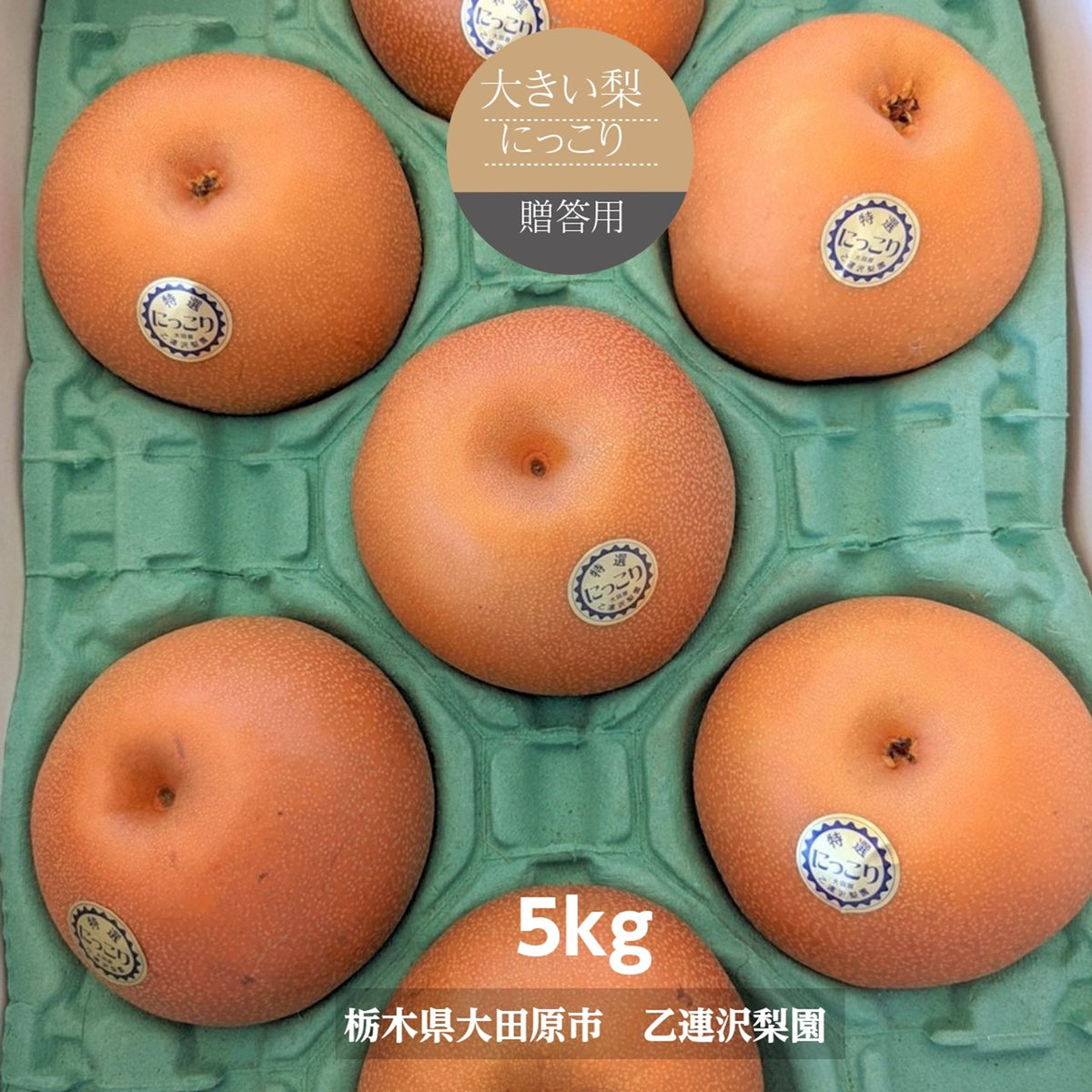 梨 【 乙連沢梨園 】大きい にっこり 5kg 6～8個 贈答用 プレゼント