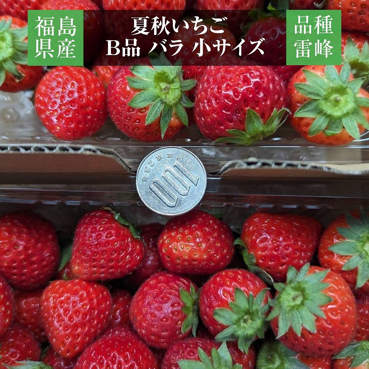 業務用 冷凍いちご お試し用 1ｋg 国産 栃木県産 イチゴ – にこやか産直アーケード