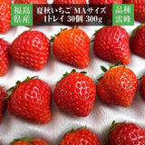 いちご 夏いちご  雷峰 4800g 小さい MA （600g 30×2P 60個)×8箱 秀 福島 飯館 ケーキ お菓子作り イチゴ 苺 夏 業務用