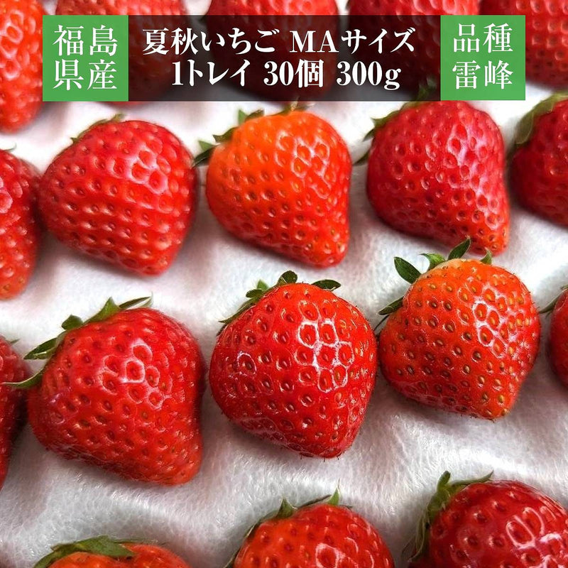 いちご 夏いちご  雷峰 7200g 小さい MA （600g 30×2P 60個)×12箱 秀 福島 飯館 ケーキ お菓子作り イチゴ 苺 夏 業務用