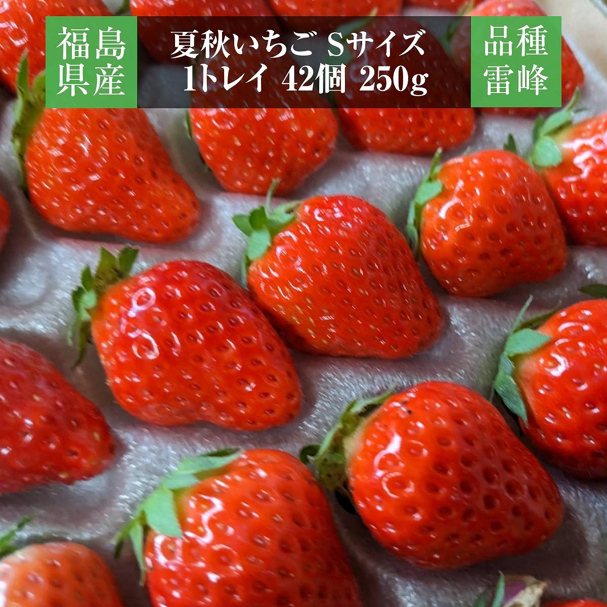 業務用 冷凍いちご お試し用 1ｋg 国産 栃木県産 イチゴ – にこやか産直アーケード