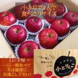 りんご 【ひかりグループ】 小玉リンゴ 毎日ちびリンゴ ミニサイズ 1ヵ月分チェックシート付 サンふじ 10kg 48個(24個×2箱) 山形県 家庭用 《12/上旬～12/中旬より出荷》