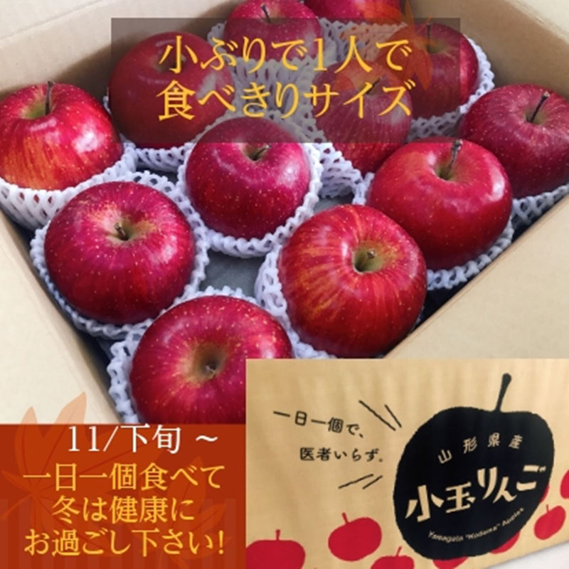 りんご 【ひかりグループ】 小玉リンゴ 毎日ちびリンゴ ミニサイズ 1ヵ月分チェックシート付 サンふじ 10kg 48個(24個×2箱) 山形県 家庭用 《12/上旬～12/中旬より出荷》