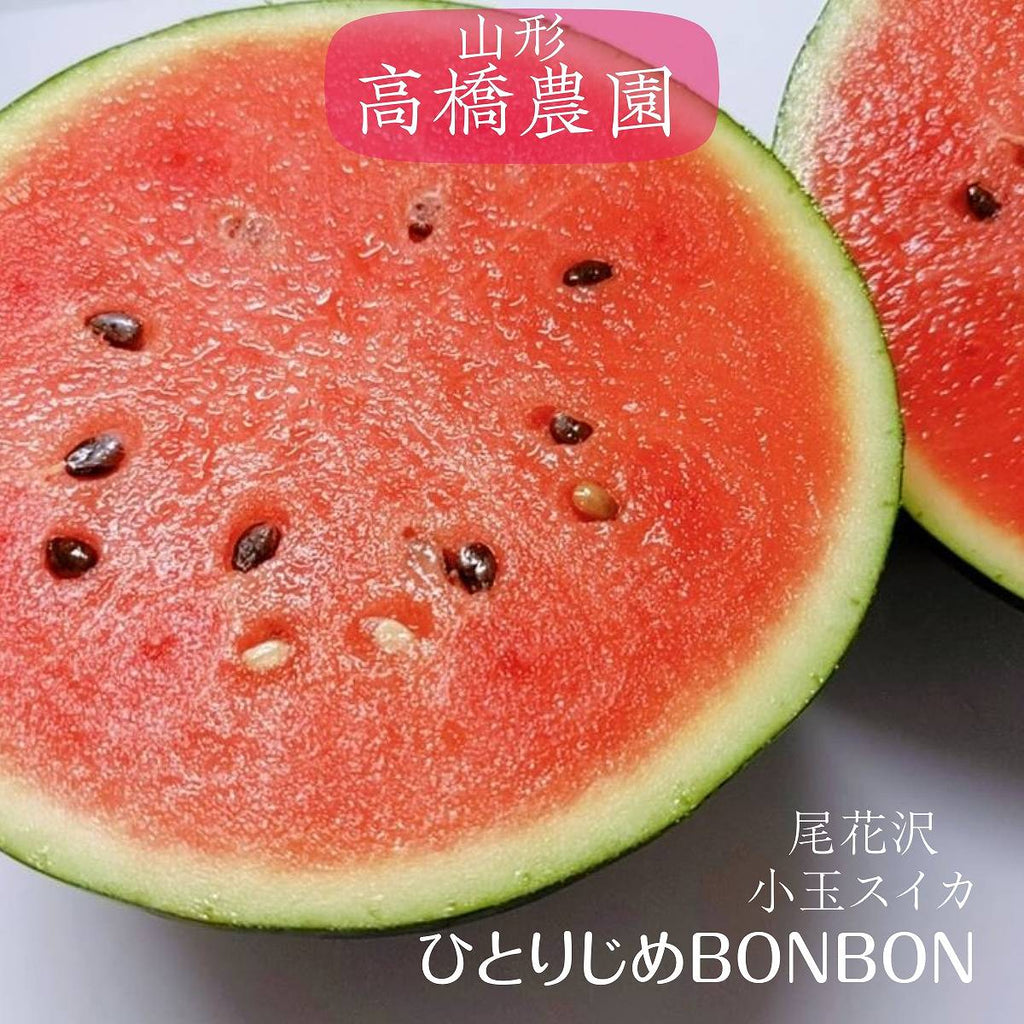 楽天市場】スイカ 熊本 父の日 送料無料 訳あり 小玉スイカ 熊本