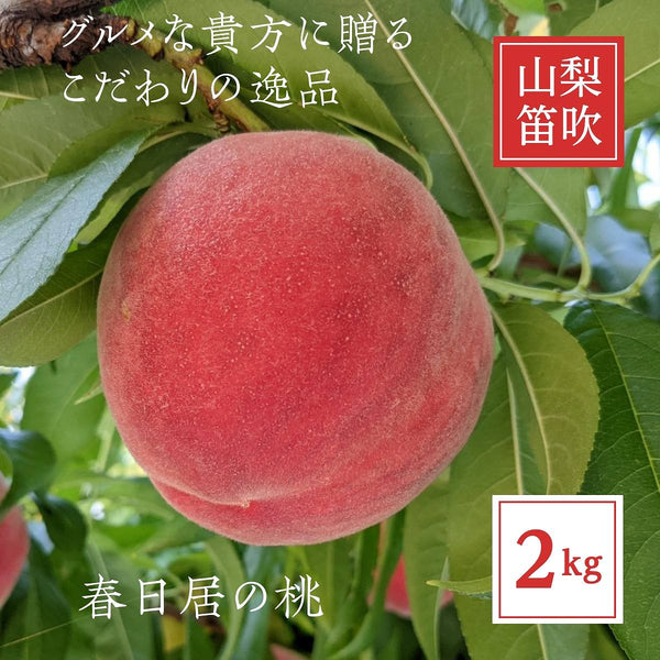 桃 【芦澤農園】 もも 高級 春日居の桃 2kg 中玉 6～7個 お中元 御中元 山梨県笛吹市 《6/下旬～7/上旬より出荷》