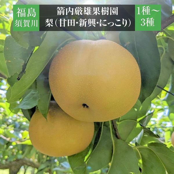 s-_1_4e4490a1-e2ea-42c2-9a39-