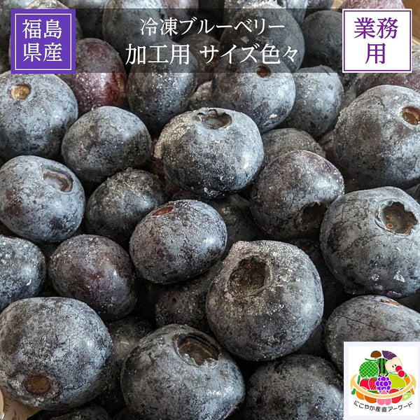 冷凍ブルーベリー　加工用　農薬不使用　5kg ② 農薬・化学肥料不使用 冷凍ブルーベリー 1.2kg - ブルーベリー