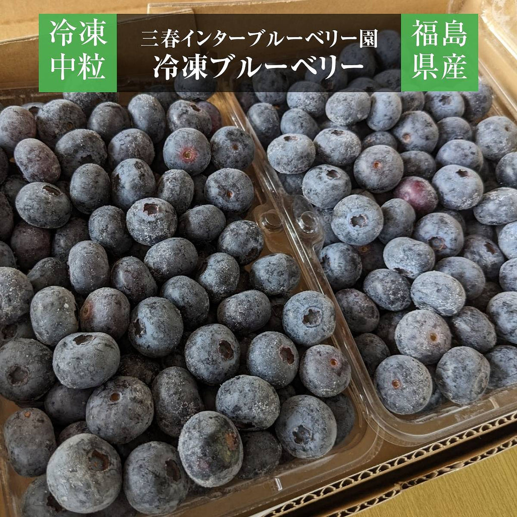 新鮮志賀高原ブルーベリー 2kg入り 新鮮志賀高原ブルーベリー 2kg入り 新鮮志賀高原ブルーベリー