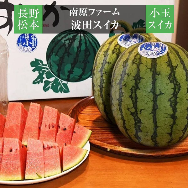 スイカ 【南原ファーム】 高級 波田スイカ 小玉スイカ 2S 2玉 長野県