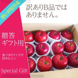 りんご 【ひかりグループ】 小玉リンゴ 毎日ちびリンゴ ミニサイズ 1ヵ月分チェックシート付 サンふじ 10kg 48個(24個×2箱) 山形県 家庭用 《12/上旬～12/中旬より出荷》