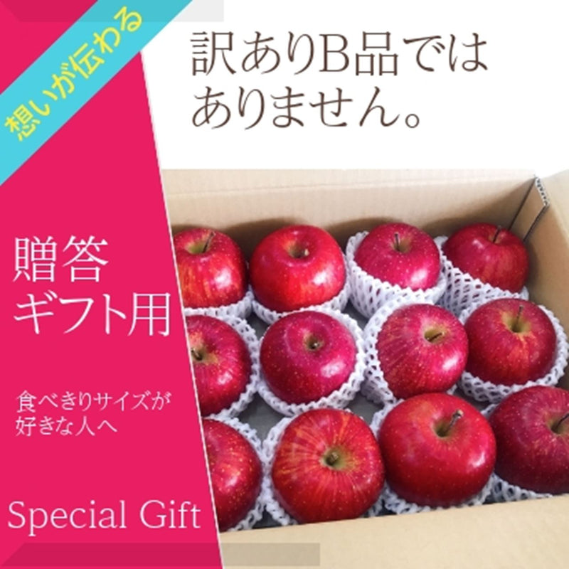 りんご 【ひかりグループ】 小玉リンゴ 毎日ちびリンゴ ミニサイズ 1ヵ月分チェックシート付 サンふじ 10kg 48個(24個×2箱) 山形県 家庭用 《12/上旬～12/中旬より出荷》