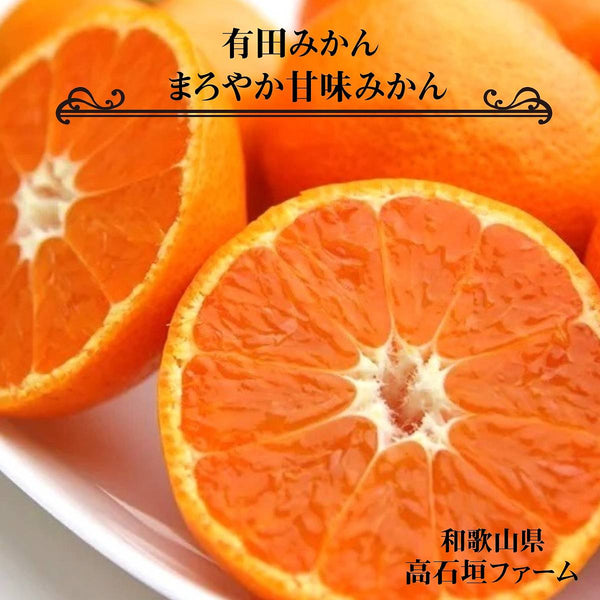 みかん 【高石垣ファーム】 有田みかん 贈答用 まろやか甘味みかん L 9キロ 和歌山県有田川町 《12/上旬～12/中旬より出荷開始》