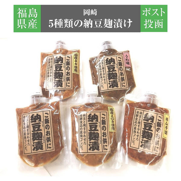 納豆 【岡崎】納豆麹漬け 160g以上×5種類の味 チューブ 福島県産