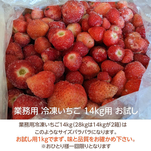 業務用 冷凍いちご お試し用 1ｋg 国産 栃木県産 イチゴ