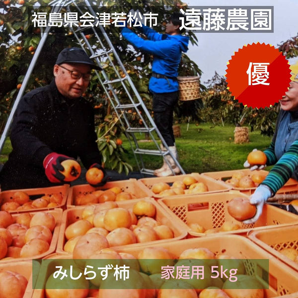 柿 【遠藤農園】みしらず柿 御山柿 5kg サイズお任せ 優 家庭用 福島県会津  《11/下旬～12/上旬出荷》