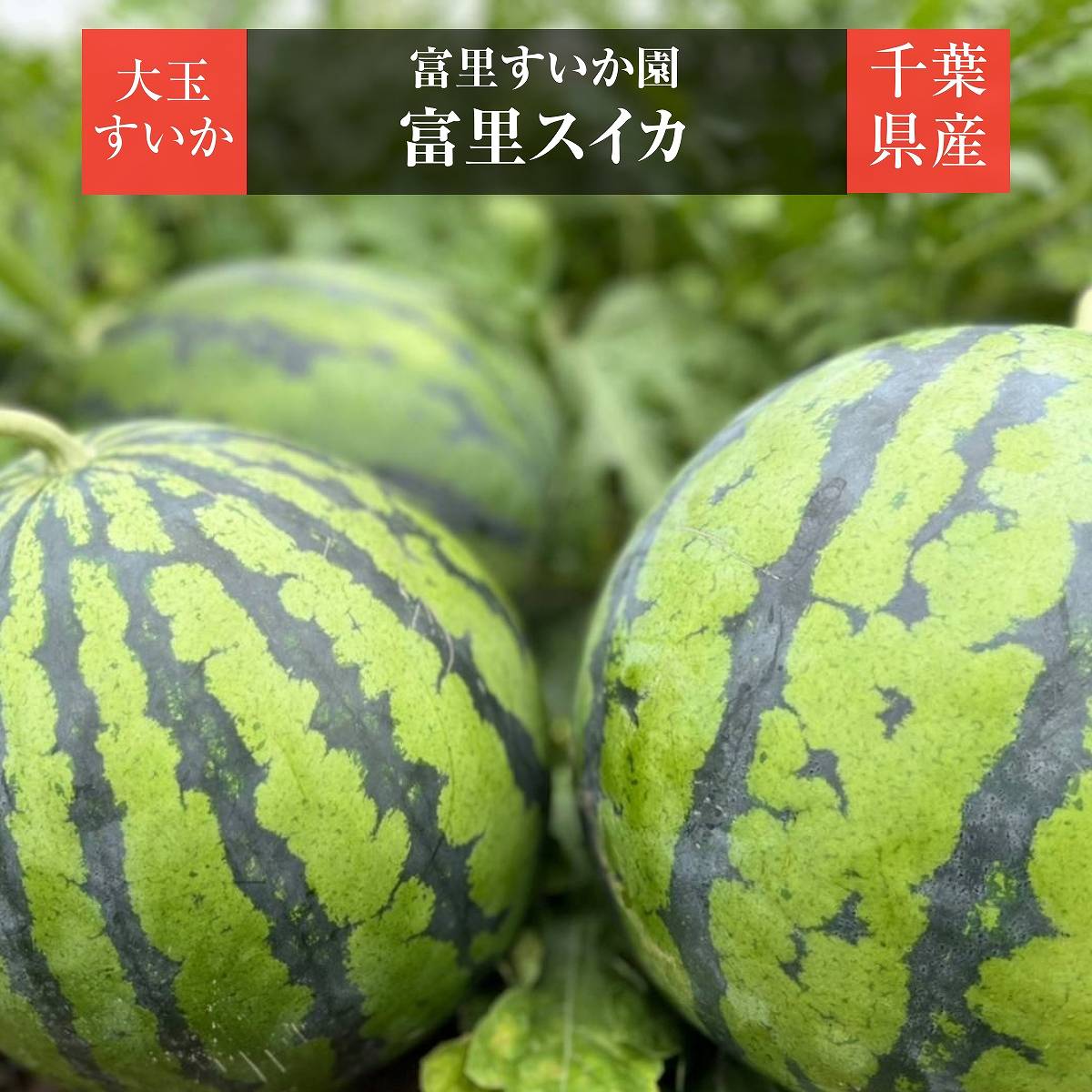 Qoo10] すいか 2玉 12kg (1玉約6kg)