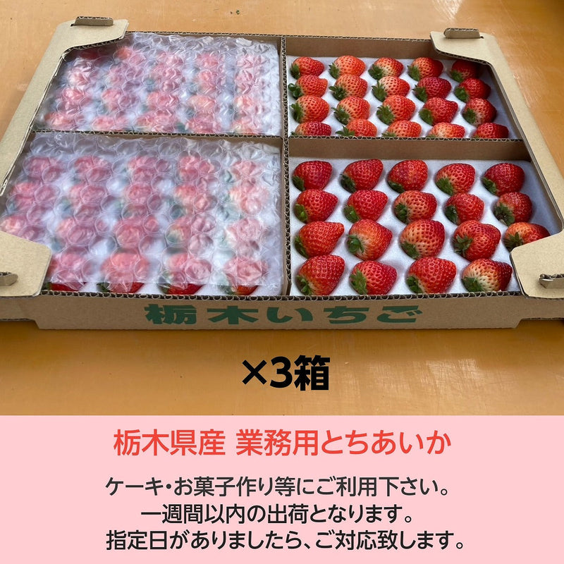 いちご 《 業務用 》 とちあいか L24個(2L20個)×4P×3箱 約4.2㎏ 栃木県産 イチゴ 国産 苺 生食