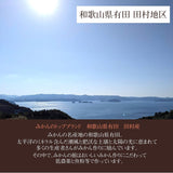 みかん 【みかんの館】 有田みかん 田村地区産 訳あり ご家庭用 ど根性くん 3kg サイズ不揃い 和歌山県 蜜柑 ミカン 柑橘 《11/上旬～11/中旬より出荷》