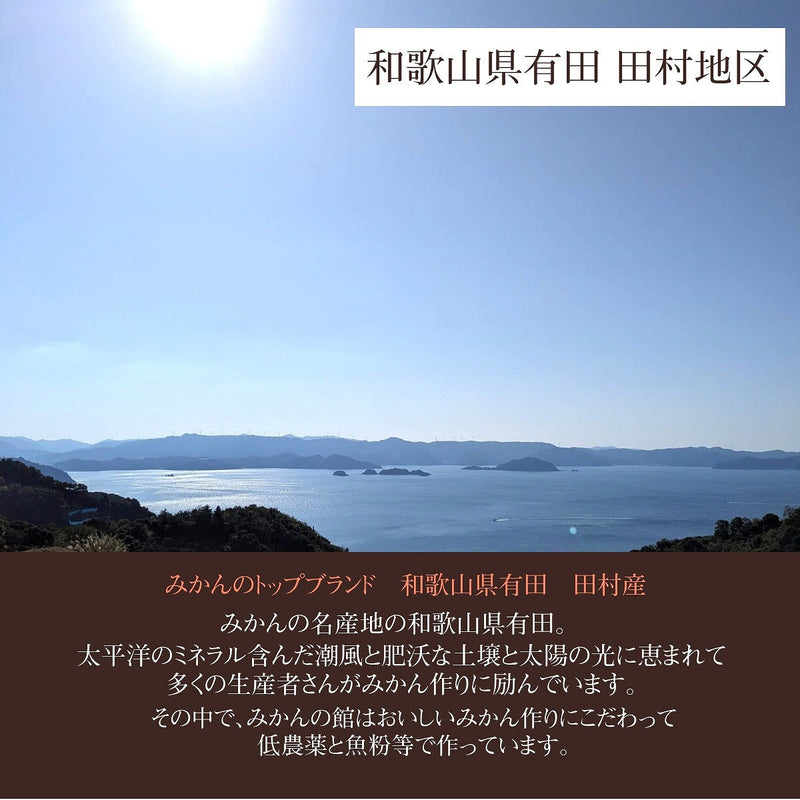 みかん 【みかんの館】 有田みかん 田村地区産 訳あり ご家庭用 ど根性くん 10kg サイズ不揃い 和歌山県 蜜柑 ミカン 柑橘 《11/上旬～11/中旬より出荷》