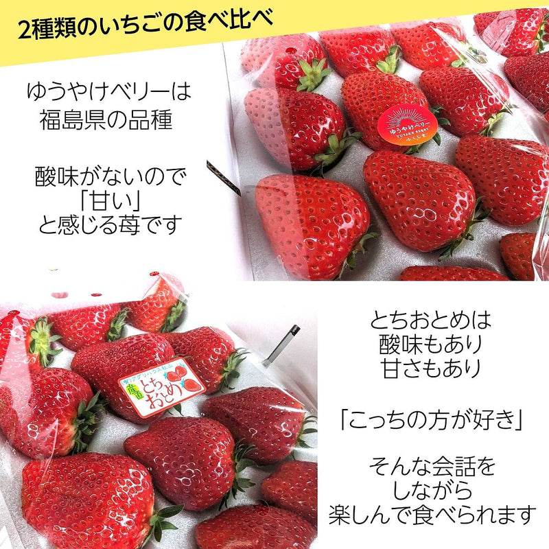 いちご 【アグリハウス秋山】 食べ比べ ゆうやけベリー とちおとめ 大玉 12～15個ずつ 750g 翌日配達の地域(東北～近畿）限定 贈答用 福島県 須賀川 苺《1/上旬～1/中旬より出荷》