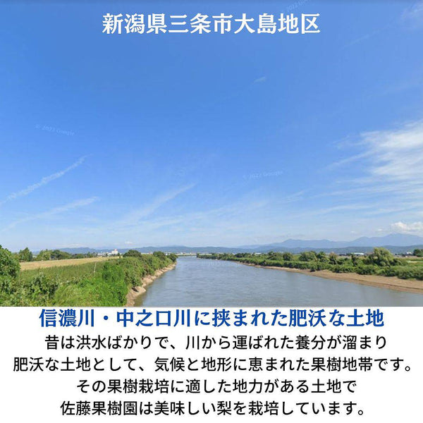 梨 【 佐藤果樹園 】 5kg  8～12個 贈答用化粧箱入り 新潟県三条市 《9/中旬～9/下旬より出荷》