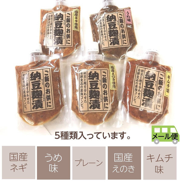 納豆 【岡崎】納豆麹漬け 160g以上×5種類の味 チューブ 福島県産